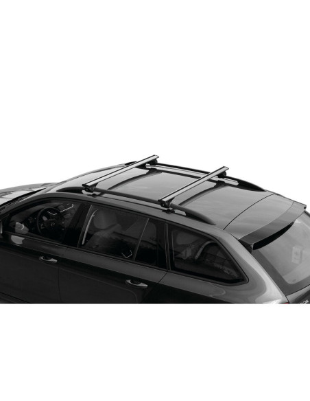 Barre portatutto portapacchi alluminio 128cm Silenzio Rail per corrimano aperti