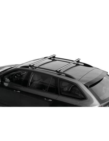 Barre portatutto portapacchi alluminio 140cm Silenzio Rail per corrimano aperti