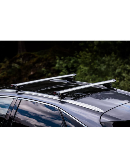 Barre portatutto Airflow 60210 per corrimano aperti o integrati 110cm