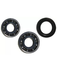 Kit cuscinetti a sfera per freno rimorchi 135GSM 299350023