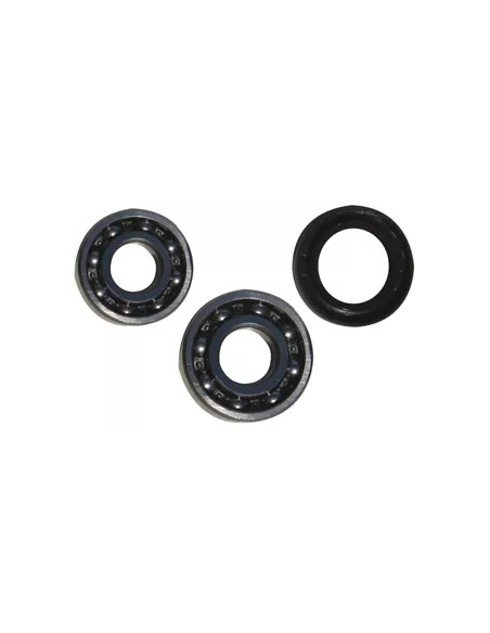 Kit cuscinetti a sfera per freno rimorchi 135GSM 299350023
