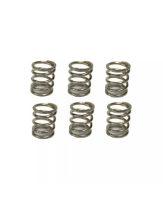 Kit 6 molle comprimi ceppi freno ganasce per rimorchi Ellebi 186-151 LB