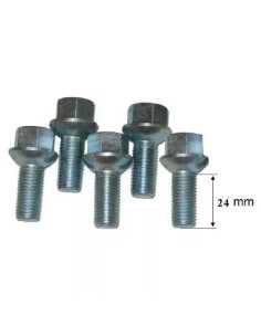 Kit 5 bulloni sferici per cerchio rimorchio M12x1.5 24mm 900199108