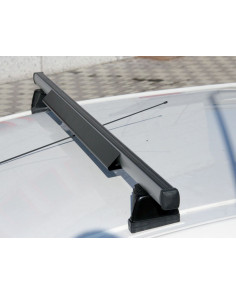 Spoiler anteriore per barre Prealpina professionali 50cm